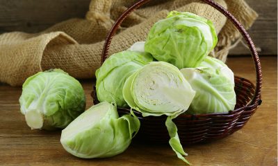 White Cabbage