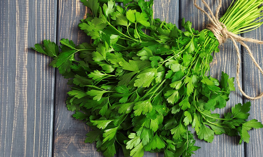 Parsley