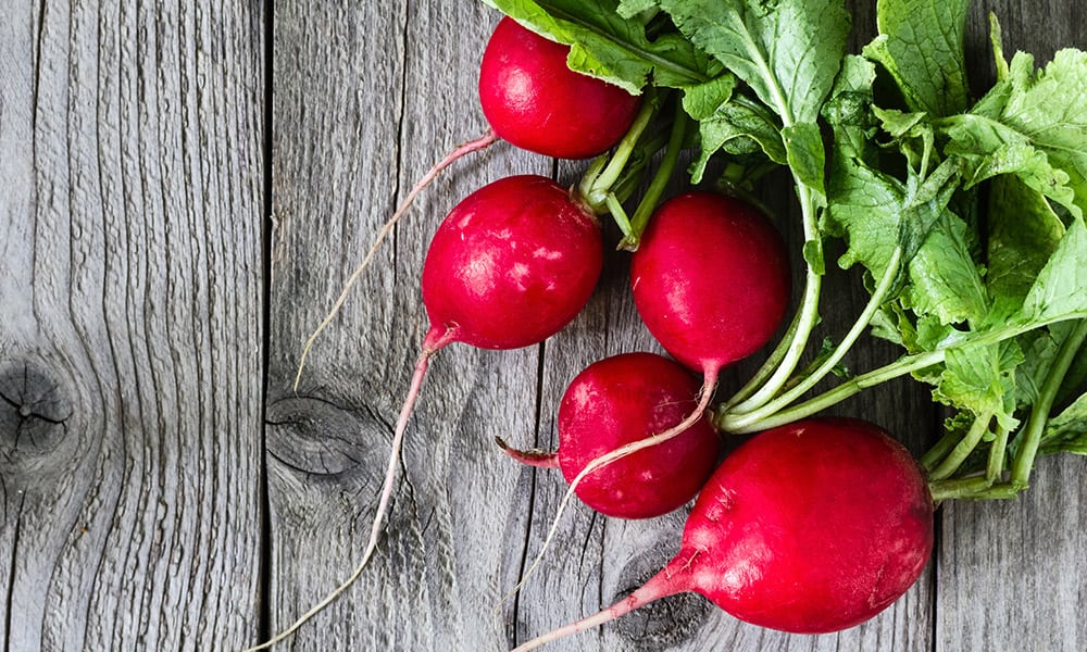 Radishes